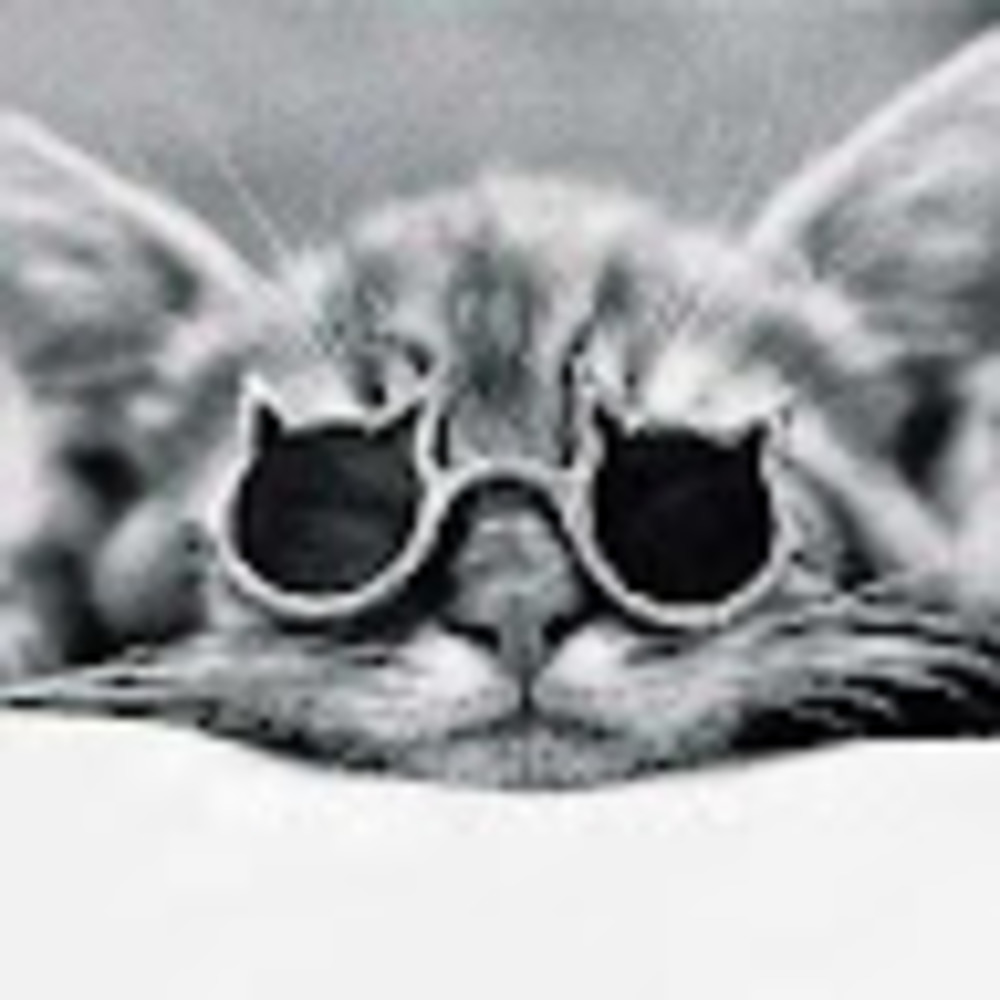 Meet your Posher, Rachael